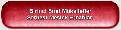 birinci snf mkellef ve serbest meslek erbab