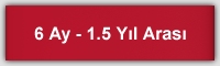 6 ay - 1,5 yl aras