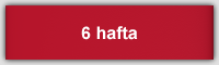 6 hafta